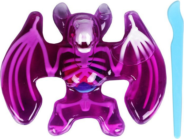 Изображение товара Набор для опытов On Time Анатомия летучей мыши / 45284