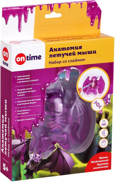 Изображение товара Набор для опытов On Time Анатомия летучей мыши / 45284