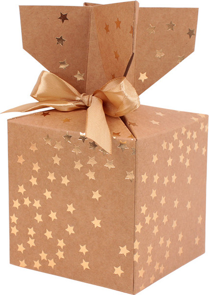 Изображение товара Набор коробок подарочных Darvish 10x10x10 см / DV-14642 (2 шт, крафт ассорти)