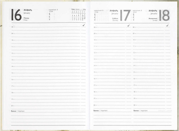 Изображение товара Ежедневник Феникс+ Вороной конь 2026 / 71535 (160л)