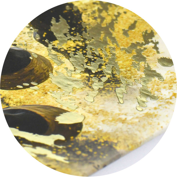 Изображение товара Ежедневник Феникс+ Вороной конь 2026 / 71535 (160л)