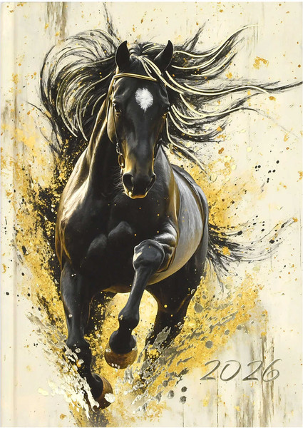 Изображение товара Ежедневник Феникс+ Вороной конь 2026 / 71535 (160л)