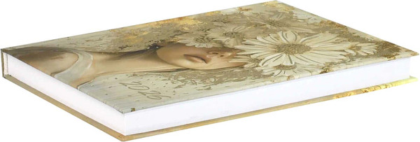 Изображение товара Ежедневник Феникс+ Золотая эстетика 2026 / 71536 (160л)