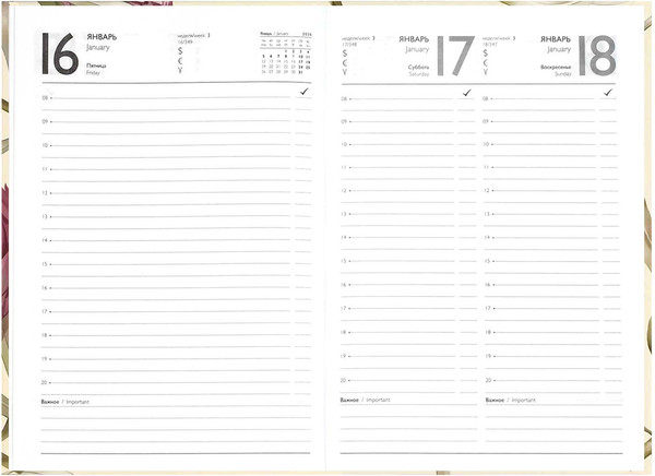Изображение товара Ежедневник Феникс+ Протея 2026 / 71538 (160л)