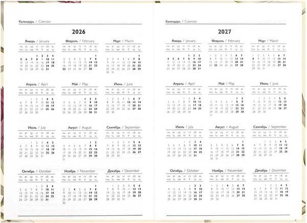 Изображение товара Ежедневник Феникс+ Протея 2026 / 71538 (160л)