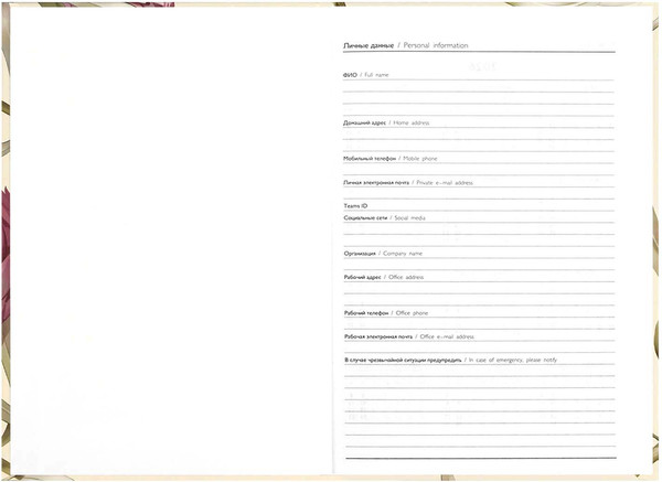 Изображение товара Ежедневник Феникс+ Протея 2026 / 71538 (160л)