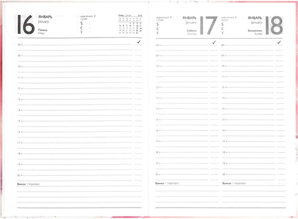 Изображение товара Ежедневник Феникс+ Розовая абстракция 2026 / 71539 (160л)