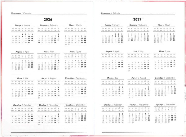 Изображение товара Ежедневник Феникс+ Розовая абстракция 2026 / 71539 (160л)