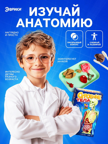 Изображение товара Научная игра Эврики Строение тела / 10690583
