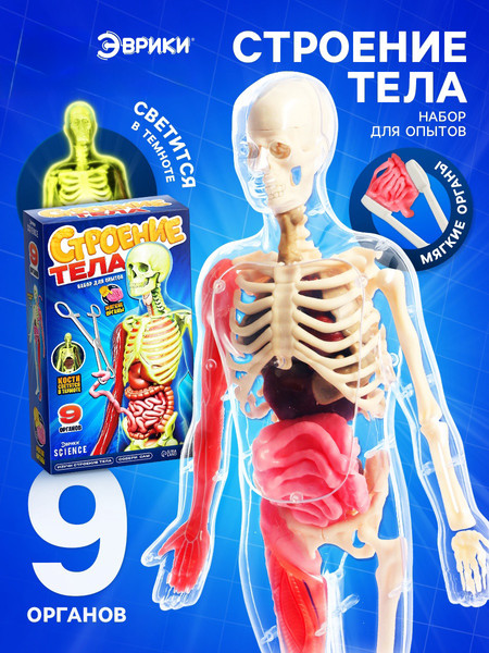 Изображение товара Научная игра Эврики Строение тела / 10690583