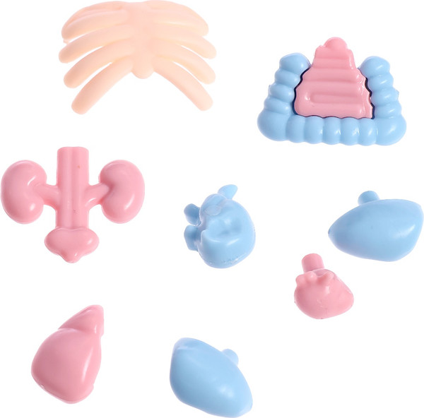 Изображение товара Научная игра Эврики Строение тела человека / 10726351