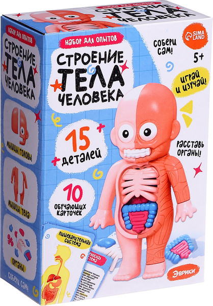 Изображение товара Научная игра Эврики Строение тела человека / 10726351
