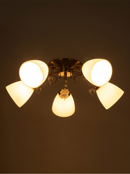 Изображение товара Люстра BayerLux Луиза / 10666493 (бронза)