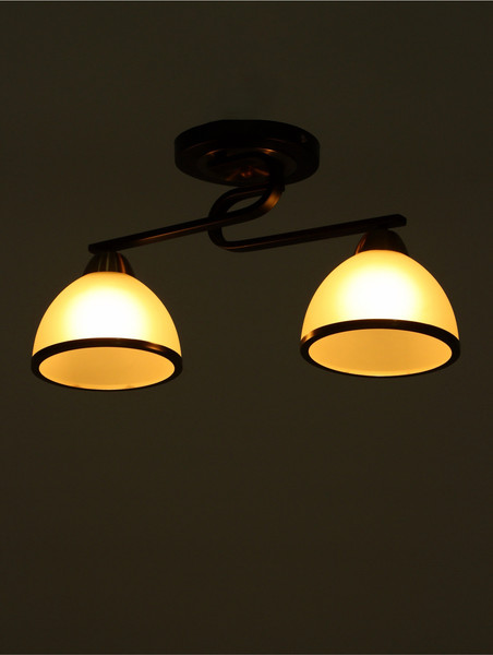 Изображение товара Потолочный светильник BayerLux Рендо / 10352905 (черный/бронзовый)