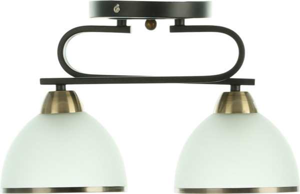 Изображение товара Потолочный светильник BayerLux Рендо / 10352905 (черный/бронзовый)