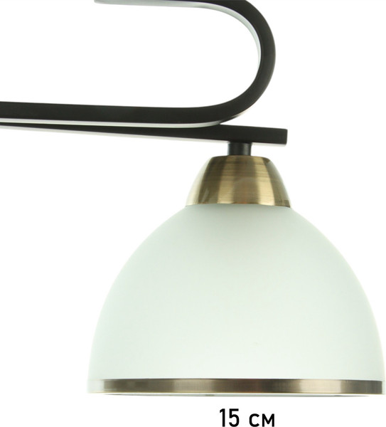 Изображение товара Потолочный светильник BayerLux Рендо / 10352905 (черный/бронзовый)