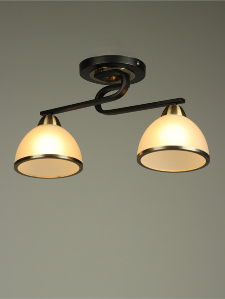 Изображение товара Потолочный светильник BayerLux Рендо / 10352905 (черный/бронзовый)