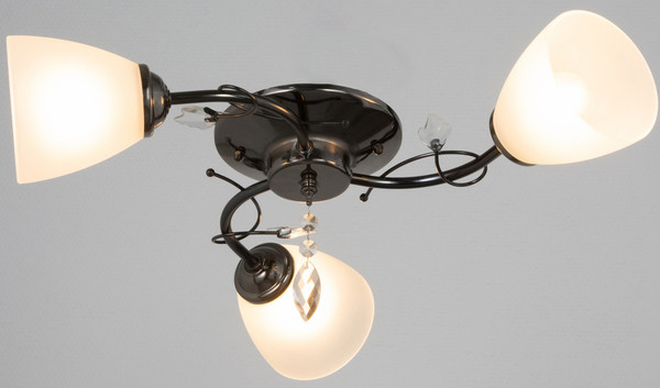 Изображение товара Люстра BayerLux Том / 10666494 (черный хром)