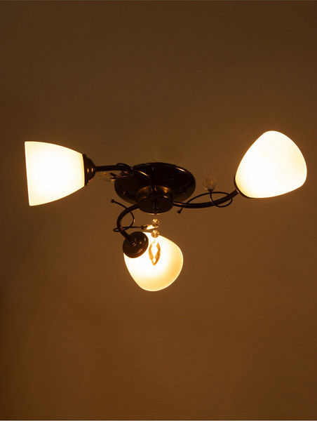 Изображение товара Люстра BayerLux Том / 10666494 (черный хром)