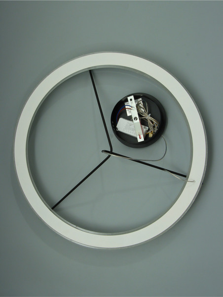 Изображение товара Потолочный светильник BayerLux Eva / 10553508 (черный)