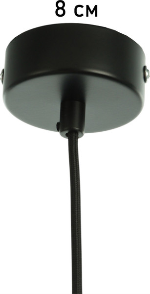 Изображение товара Потолочный светильник BayerLux Арнольд / 10537181 (черный)