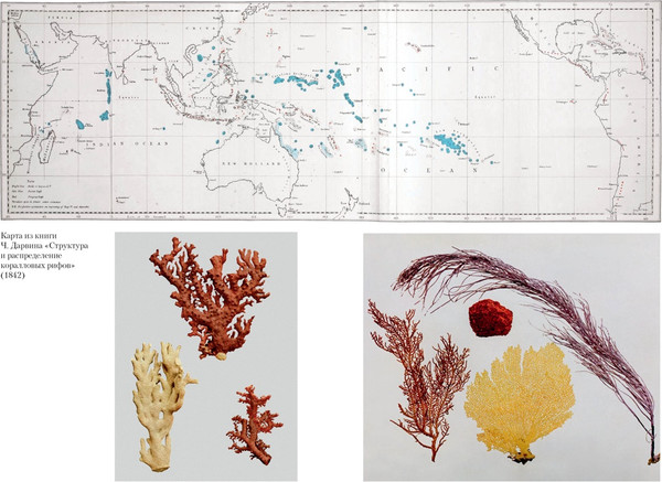 Изображение товара Книга Азбука Происхождение видов путем естественного отбора, твердая обложка (Дарвин Чарлз)