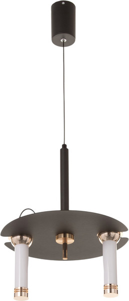 Изображение товара Потолочный светильник BayerLux Найт / 10777099 (черный/золото)