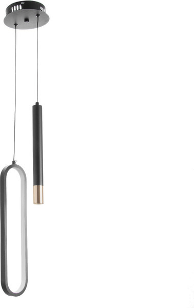 Изображение товара Потолочный светильник BayerLux Овал / 9231557 (черный)