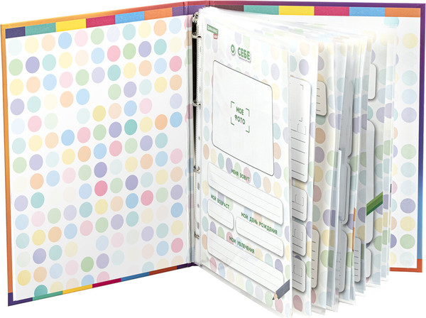 Изображение товара Папка адресная Brauberg Kids. Портфолио дошкольника. Динозавр / 115238