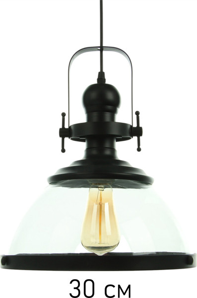 Изображение товара Потолочный светильник BayerLux Christopher / 10537745 (черный)