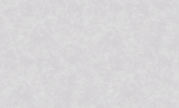 Изображение товара Виниловые обои DecoStyle Baron 589591