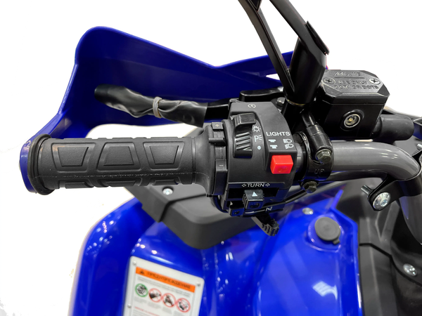 Изображение товара Квадроцикл Motax Grizlik 200 Ultra Big (серый/синий)