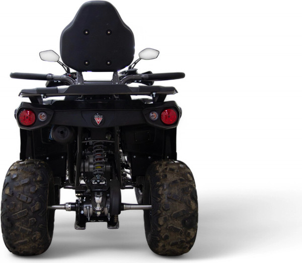 Изображение товара Квадроцикл Motax Grizlik 200 Ultra Big (серый/черный)