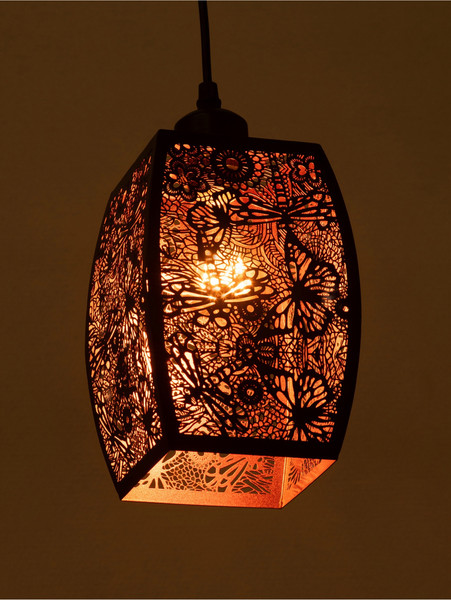 Изображение товара Потолочный светильник BayerLux Стрекозы / 10531019 (черный)