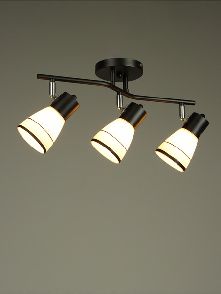 Изображение товара Спот BayerLux Айрис / 10352868 (черный)