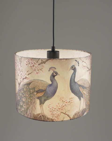 Изображение товара Потолочный светильник Moderli Tropic V11512-1P