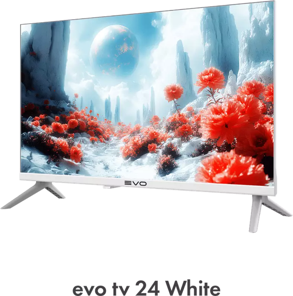 Изображение товара Телевизор Evo TV 24" (белый)