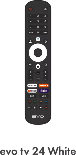 Изображение товара Телевизор Evo TV 24" (белый)