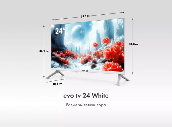 Изображение товара Телевизор Evo TV 24" (белый)