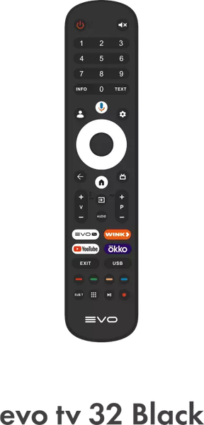 Изображение товара Телевизор Evo TV 32" (черный)