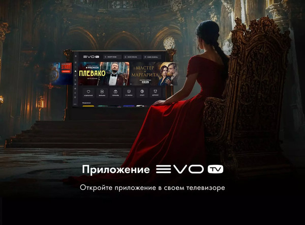Изображение товара Телевизор Evo TV 43'' (черный)