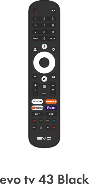 Изображение товара Телевизор Evo TV 43'' (черный)