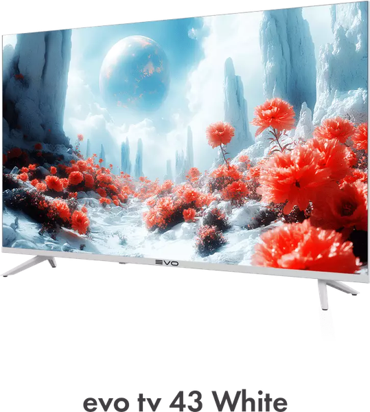 Изображение товара Телевизор Evo TV 43'' (белый)