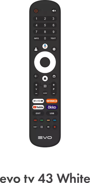 Изображение товара Телевизор Evo TV 43'' (белый)
