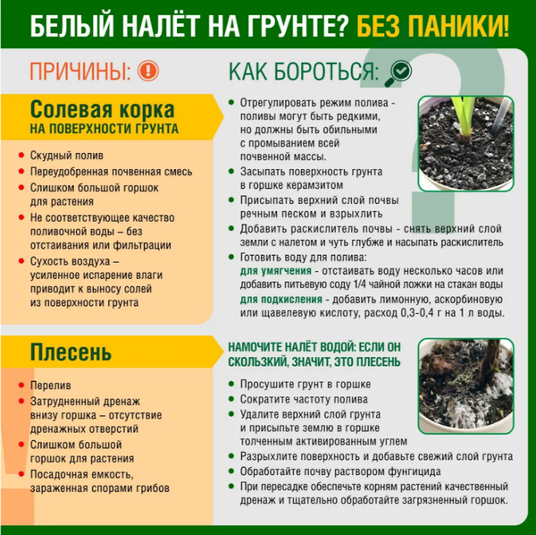 Изображение товара Грунт для растений Фаско Цветочное счастье (5л)