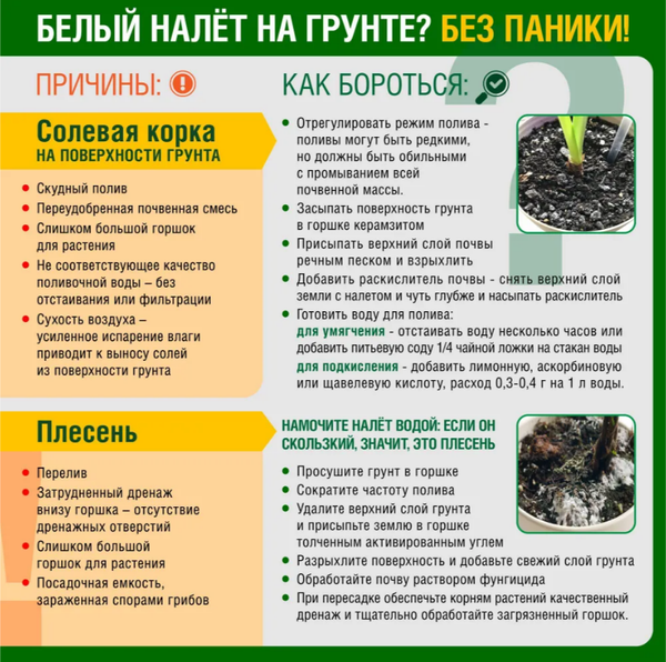 Изображение товара Грунт для растений Фаско Цветочное счастье Для лимона и цитрусовых (5л)