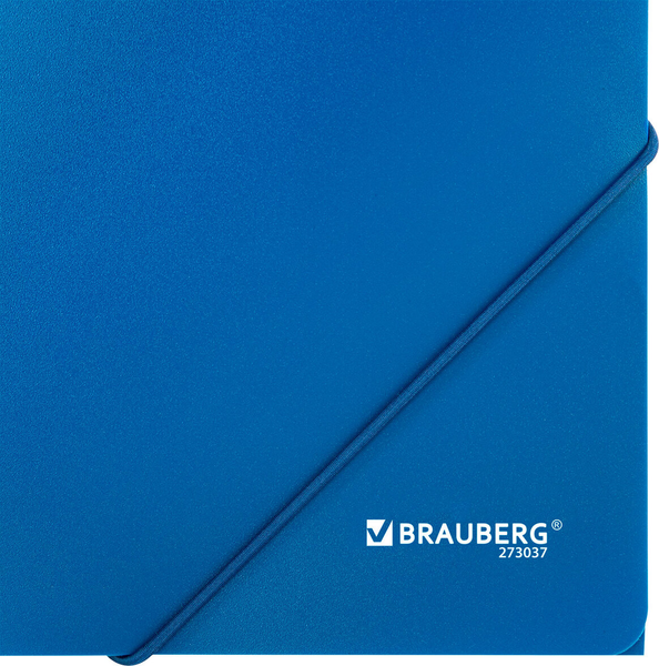 Изображение товара Папка для бумаг Brauberg Universal / 273037 (синий)