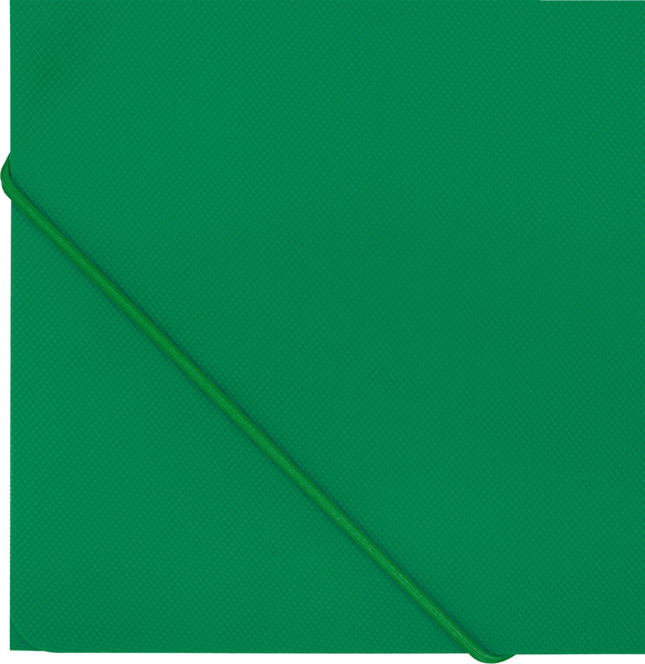 Изображение товара Папка для бумаг Brauberg Pixel / 273040 (темно-зеленый)