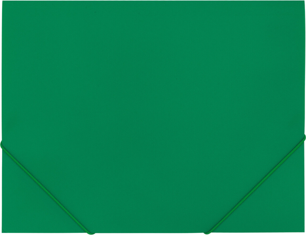 Изображение товара Папка для бумаг Brauberg Pixel / 273040 (темно-зеленый)