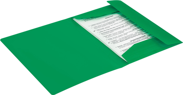 Изображение товара Папка для бумаг Brauberg Pixel / 273040 (темно-зеленый)